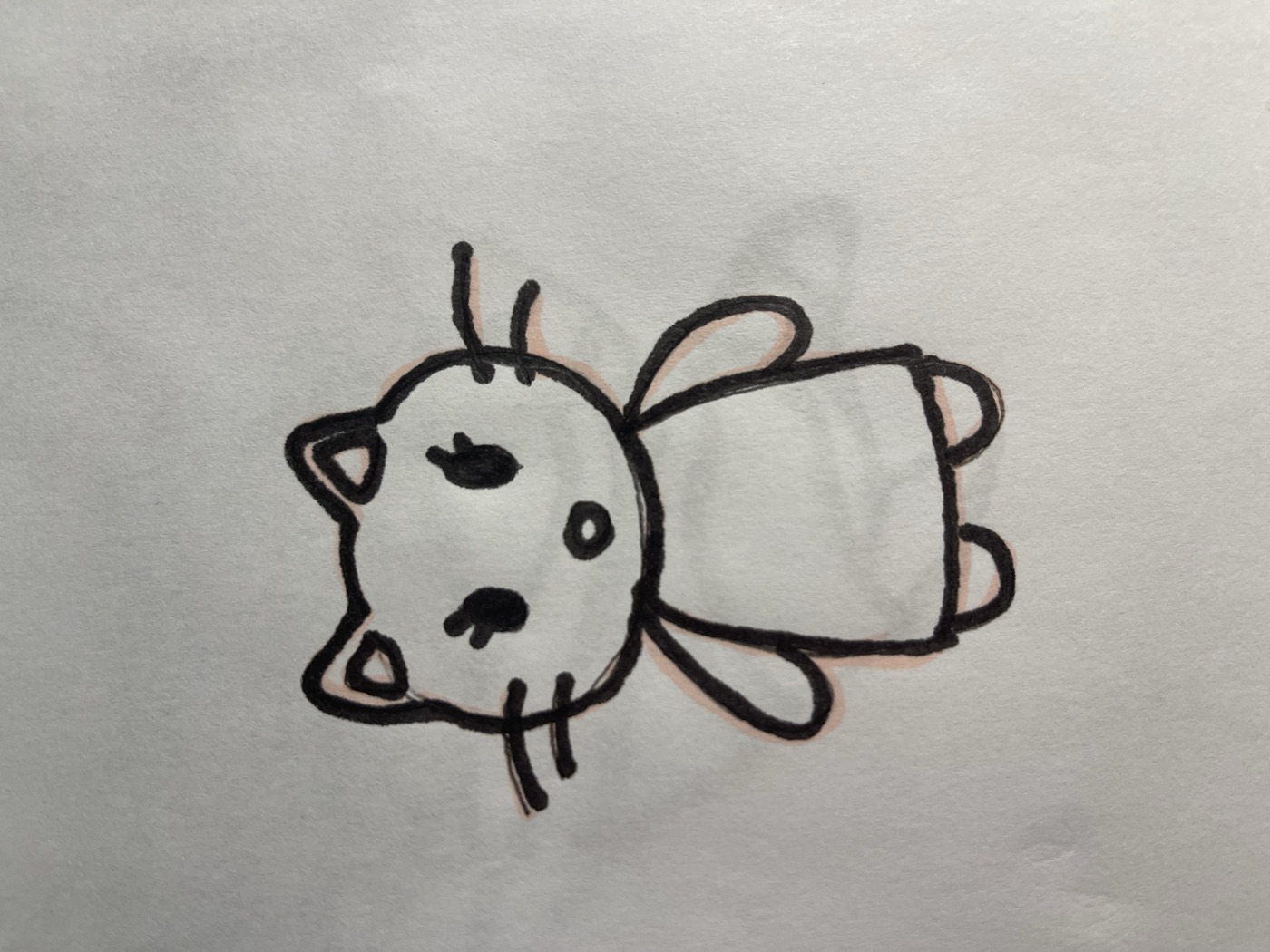 Cricut student work